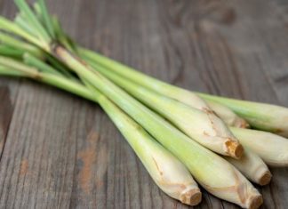 “Achieve Clear Skin with a 5k Lemongrass and Ice Cube Facial Treatment”