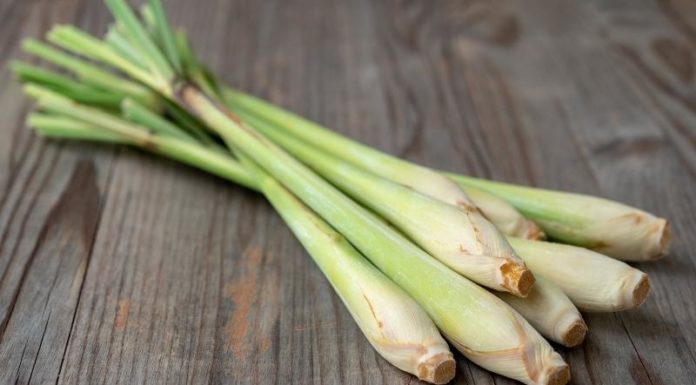 “Achieve Clear Skin with a 5k Lemongrass and Ice Cube Facial Treatment”