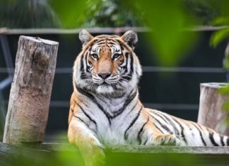 The wealthiest 4-year-old in February: 1-year-old fortune rises, wiping out poverty, money plentiful as water.