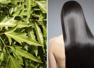 How to Use Polygonum multiflorum Leaves for Shiny and Soft Hair: 5 Tips