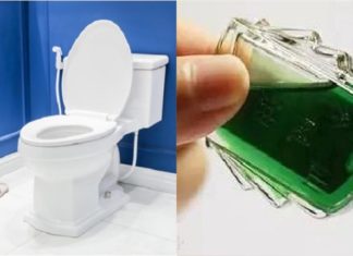 The benefits of placing air fresheners in your bathroom.