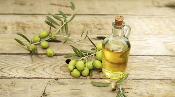 The Benefits of Consuming Olive Oil Daily: Enhanced Cognitive Abilities and Physical Well-being, Surpassing the Effects of Ginseng and Bird’s Nest