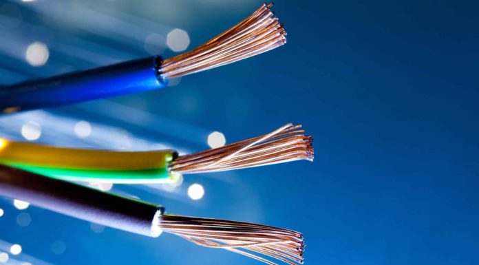 Exploring the Characteristics and Distinction of Neutral Wires