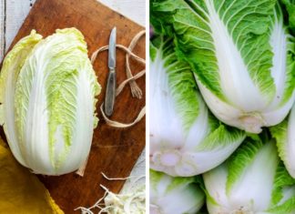 Comparing White and Green Mustard Greens: Which is Best for Shopping?