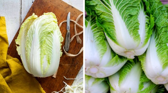 Comparing White and Green Mustard Greens: Which is Best for Shopping?