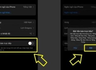 Tips to easily translate any foreign language into Vietnamese using iPhone