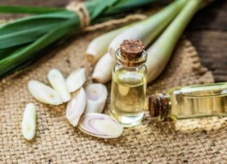 Investigating the Advantages of Lemongrass Essential Oil for Skin and Hair Care