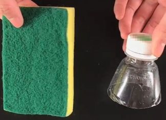 Plastic bottle transforms cleaning brush into a magical kitchen tool