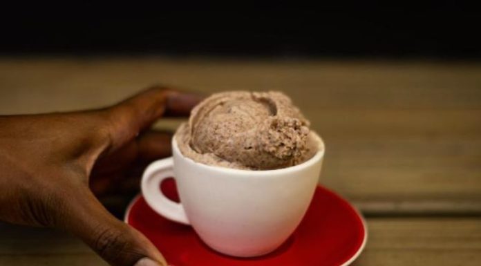 Taste the Exotic Dried Fish and Butterfly Worm Ice Creams from South Africa!