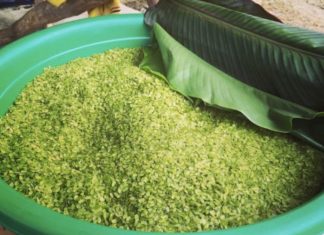 Preparing Exotic Thai Dish Receives Rave Reviews from Guests