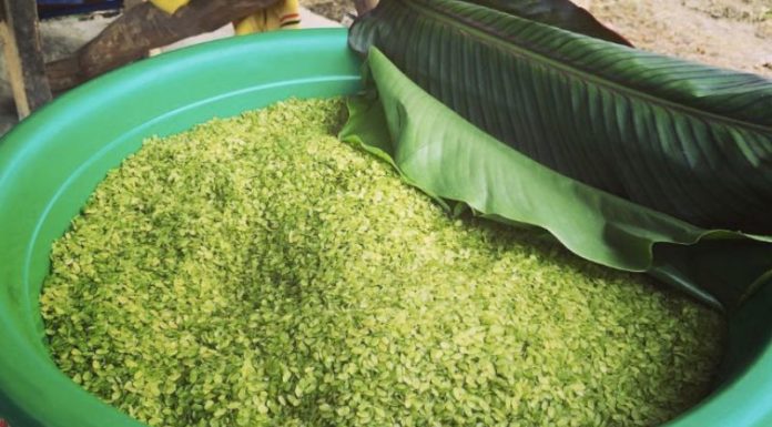 Preparing Exotic Thai Dish Receives Rave Reviews from Guests