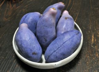 Vietnam Aroused by High-Priced Giant Purple Grapes
