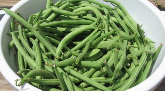 Don’t hurry to stir-fry once you buy it, make it this way so that every piece turns out crispy and delicious like jade.