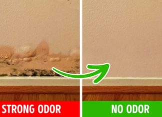 6 Reasons Your Home Smells Unpleasant and Super Effective Solutions