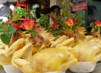 Why do roosters always hold a rose on New Year’s Eve? Can they hold a chrysanthemum or orchid?