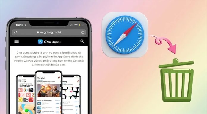 Clear iPhone Search History in Just a Few Simple Steps