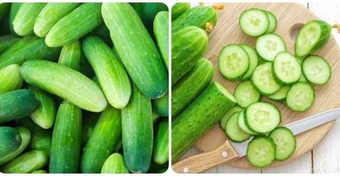 Choosing Delicious, Fragrant, and Bitter-Free Cucumbers