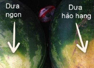 Tips for Choosing Delicious and Sweet Watermelons
