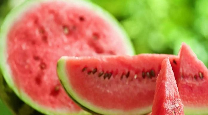 “Unlock the Delicious Health and Culinary Benefits of Watermelon with These Recipes and Drinks”