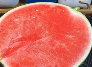 What happens when you stick chopsticks in a watermelon?