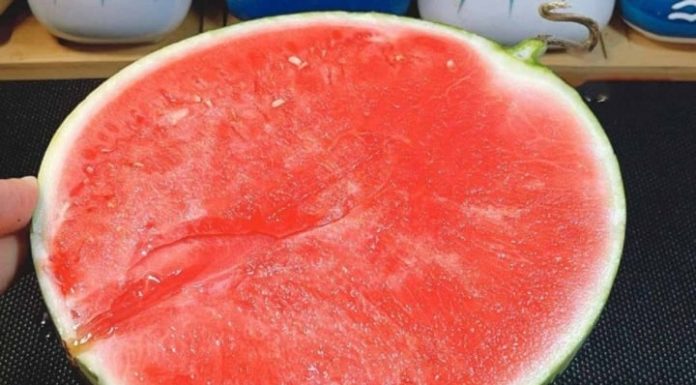 What happens when you stick chopsticks in a watermelon?