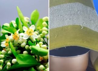 Unexpected Benefits of Steaming Your Face with Pomelo Flowers