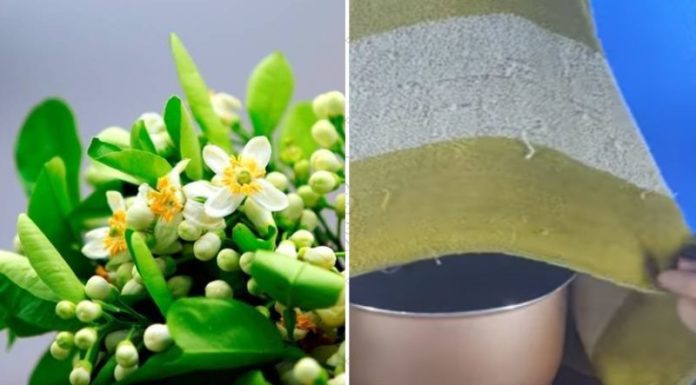 Unexpected Benefits of Steaming Your Face with Pomelo Flowers