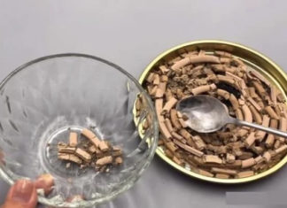 Spotless House: A Homemade Solution Removes Every Mosquito Trace