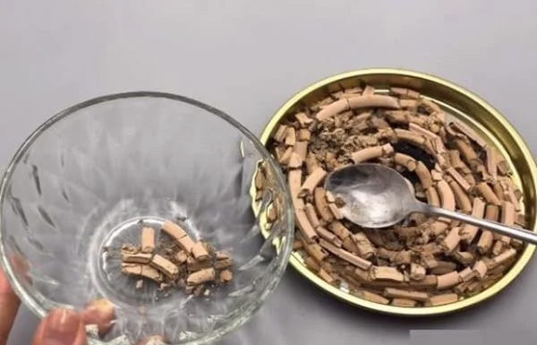 Spotless House: A Homemade Solution Removes Every Mosquito Trace