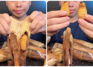 Discovering the Specialties of Ca Mau: Duong Cha Explored