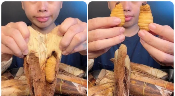 Discovering the Specialties of Ca Mau: Duong Cha Explored