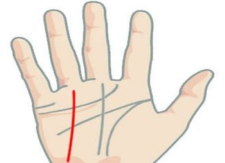 Do you have wanderlust? Check out these travel destinations!