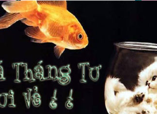 Should I Make an April Fools’ Confession?