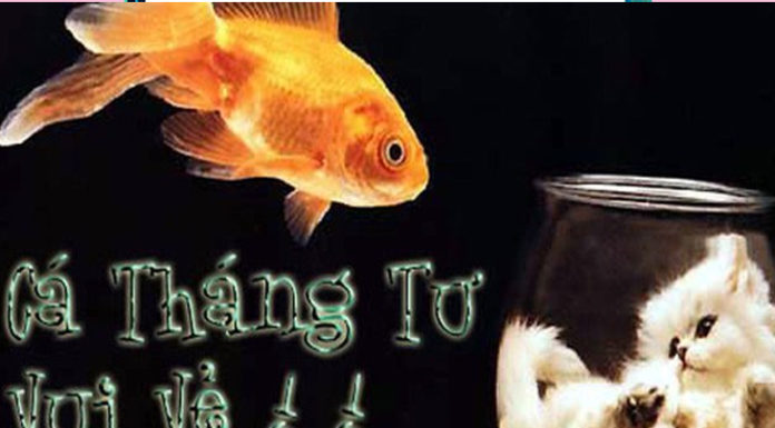 Should I Make an April Fools’ Confession?