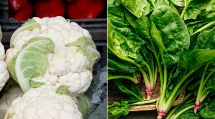 4 Natural Estrogen-rich Vegetables, Eat Regularly for Abundant Hormones, Fair Skin, and Slim Figure