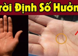 The Secret to a Life of Abundance: Unlocking the Mystery in the Palm of Your Hand