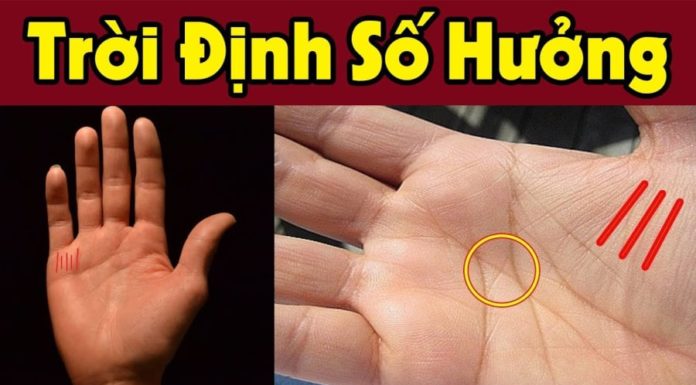 The Secret to a Life of Abundance: Unlocking the Mystery in the Palm of Your Hand