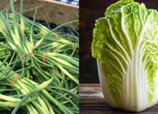 4 types of vegetables, 2 types of food susceptible to formaldehyde soaking