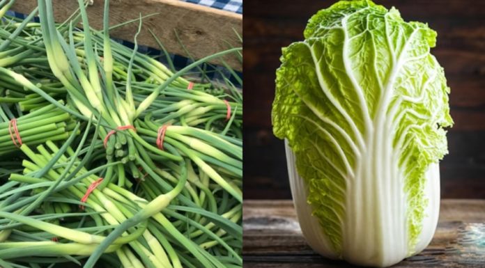 4 types of vegetables, 2 types of food susceptible to formaldehyde soaking