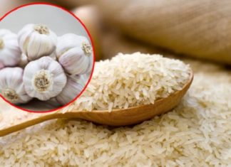 Benefits of burying garlic in a rice container