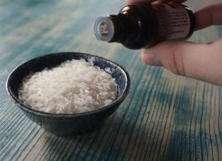 Regretting Not Knowing Sooner: My Neighbor Stocks Half a Bowl of Rice in the Closet