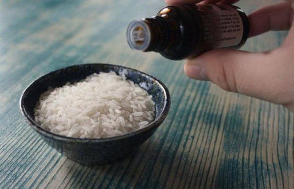 Regretting Not Knowing Sooner: My Neighbor Stocks Half a Bowl of Rice in the Closet
