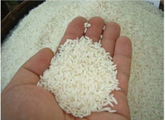 Eggs in Rice Have Amazing Benefits That Most People Don’t Know About