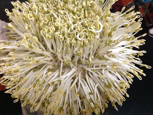 Making a delicious and surprising dish with beans in a quick and easy way.