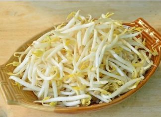 How to grow ripe white beans without watering, ready to harvest in just over 2 days