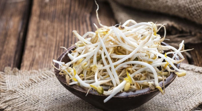 4 Types of vegetables with more calcium than shrimp, eggs, and milk: Don’t miss out!