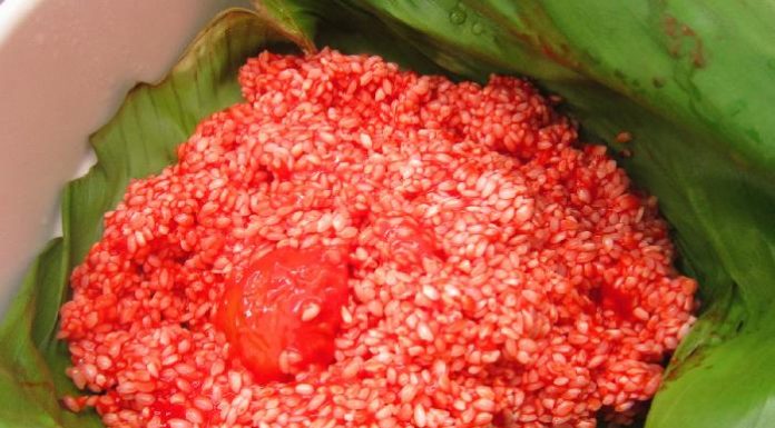 Revealing the Incredible Health Benefits of Gac Fruit