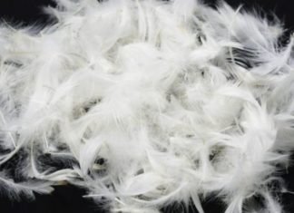 Tips for Cleaning Feather Pillows
