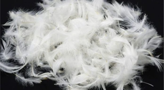 Tips for Cleaning Feather Pillows