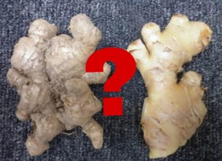 Buy ginger with smooth or rough skin, choosing the wrong one only wastes money, and you won’t even get the fragrance.